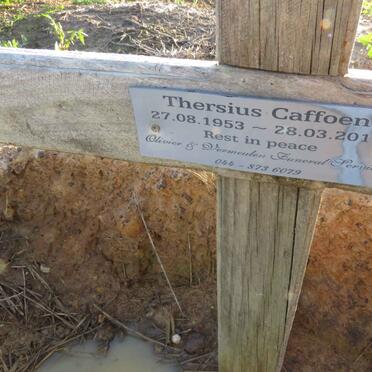 CAFFOEN Thersius 1953-2018