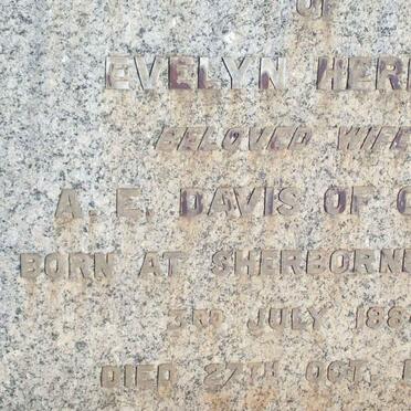 DAVIS Evelyn Herbert 1884-1946