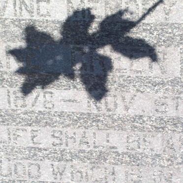 GREER Jane 1876-1966