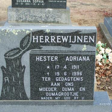 HERREWIJNEN Hester Adriana 1911-1996