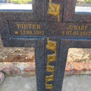 JUMART Pieter 1981-2017