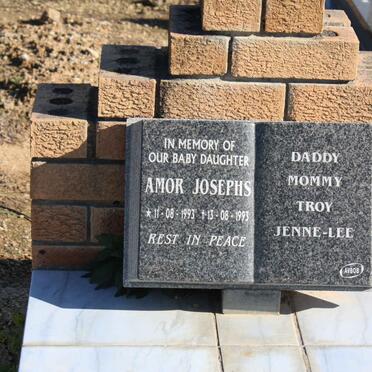 JOSEPHS Amor 1993-1993