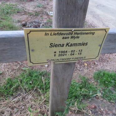 KAMMIES Siena 1964-2021