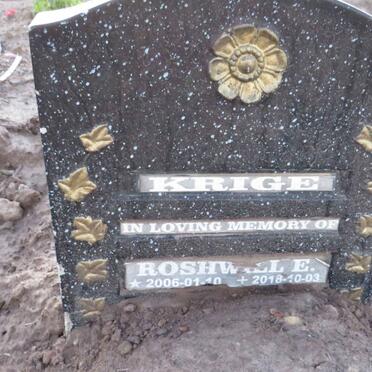 KRIGE Roshwill E. 2006-2018