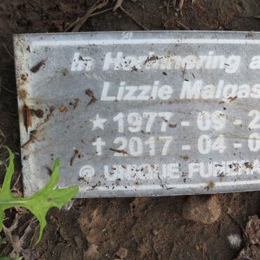 MALGAS Lizzie 1977-2017