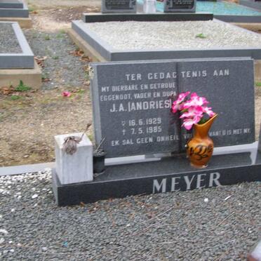 MEYER J.A. 1929-1985