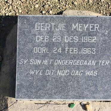 MEYER Gertjie 1962-1963