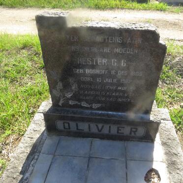 OLIVIER Hester C.C. nee BOSHOFF 1885-1982