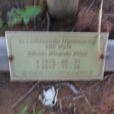 PRINS Elfrido Ricardo 1979-2017