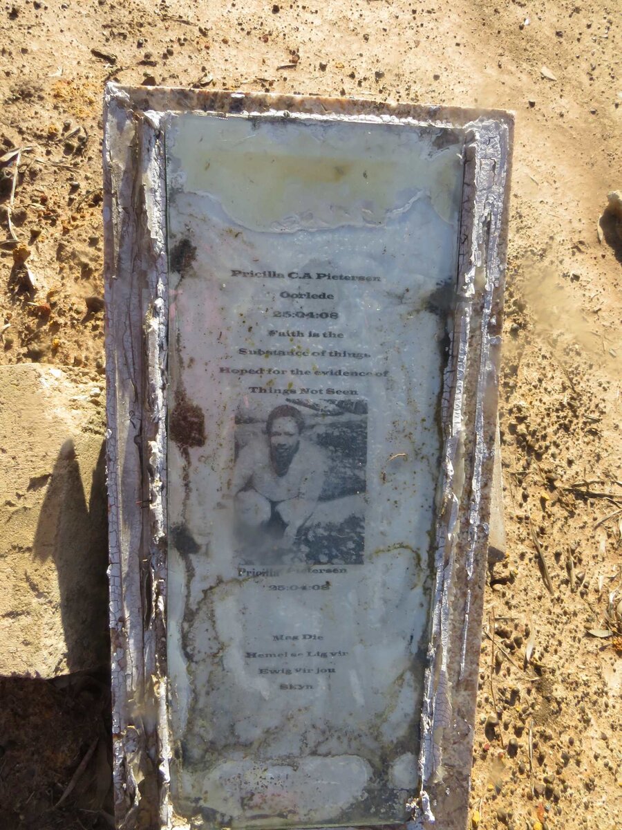 PIETERSEN Pricilla C.A. 2008