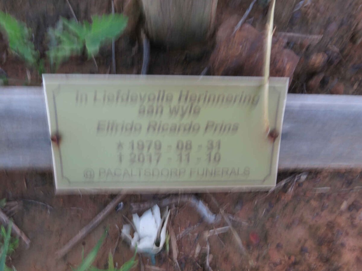 PRINS Elfrido Ricardo 1979-2017