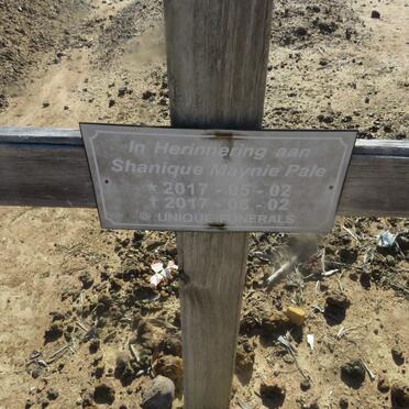 PALE Shanique Maynie 2017-2017