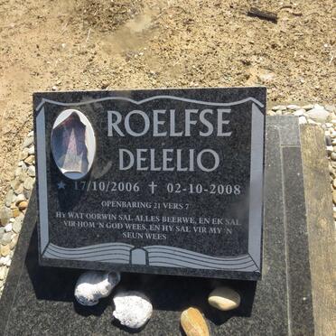 ROELFSE Delelio 2006-2008
