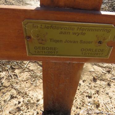 SAUER Tiqen Jovan 2017-2017