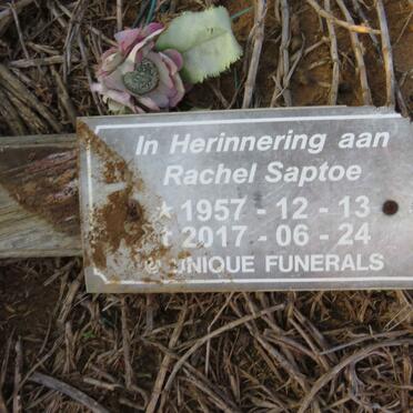SAPTOE Rachel 1957-2017
