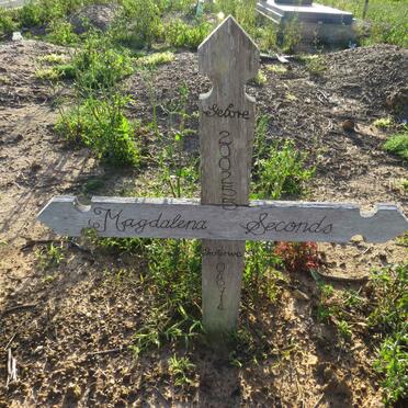 SECONDS Magdalena 1955-2014