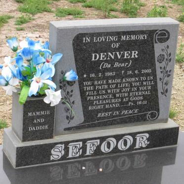 SEFOOR Denver 1983-2005