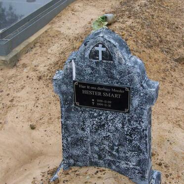 SMART Hester 1939-1999