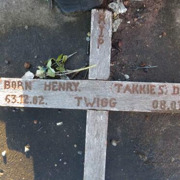 TWIGG Henry 1963-2008