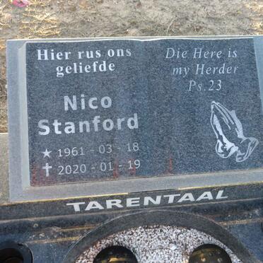 TARENTAAL Nico Stanford 1961-2020