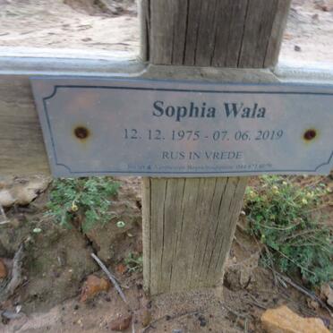 WALA Sophia 1975-2019