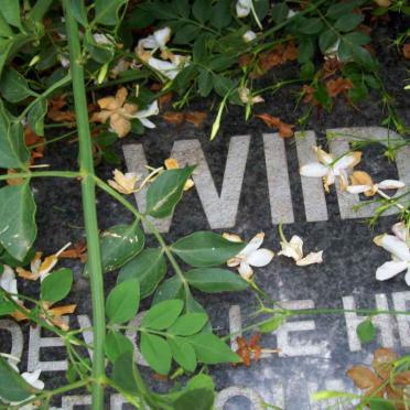 WIID Helena Debora nee LEMMER 1909-2001