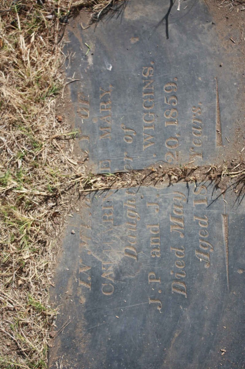 WIGGINS Catharine Mary -1859