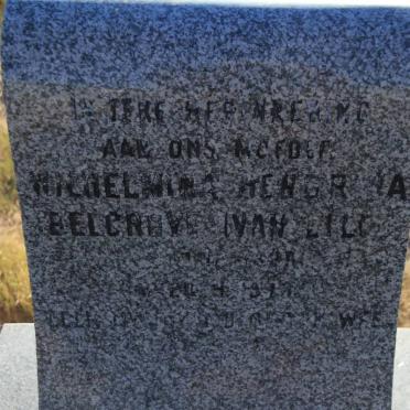 BELGROVE Wilhelmina Hendrina nee VAN LILL 1??5-197?