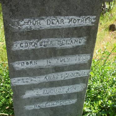 L - Surnames :: Vanne - L