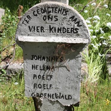 GROENEWALD Johannes :: GROENEWALD Helena :: GROENEWALD Roelf :: GROENEALD Roelf