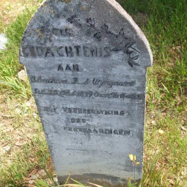 W - Vanne :: Surnames - W