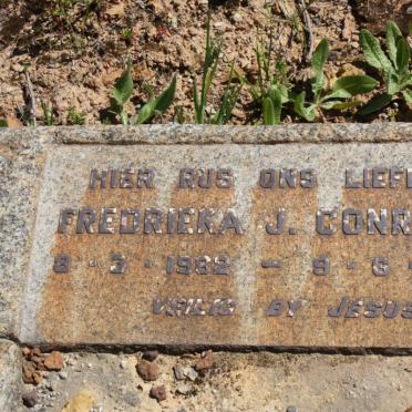 CONRADIE Fredrieka J. 1962-1962