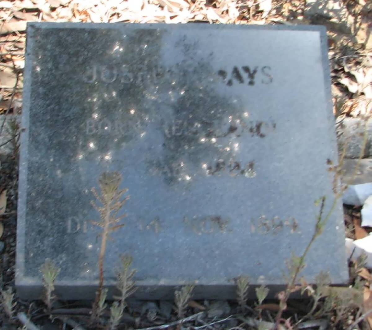 MAYS Joseph H. -1894