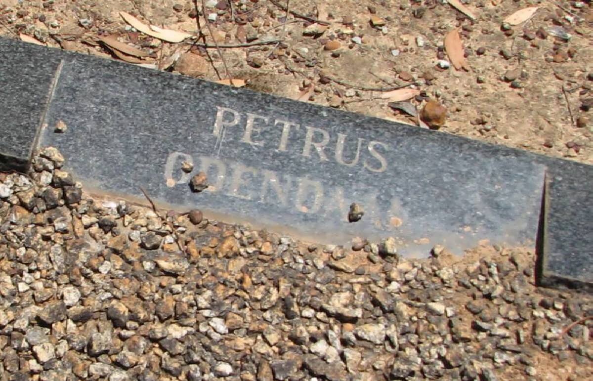 ODENDAAL Petrus 