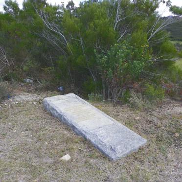 ALEXANDER Cyril 1882-1918