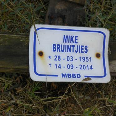 BRUINTJIES Mike 1951-2014