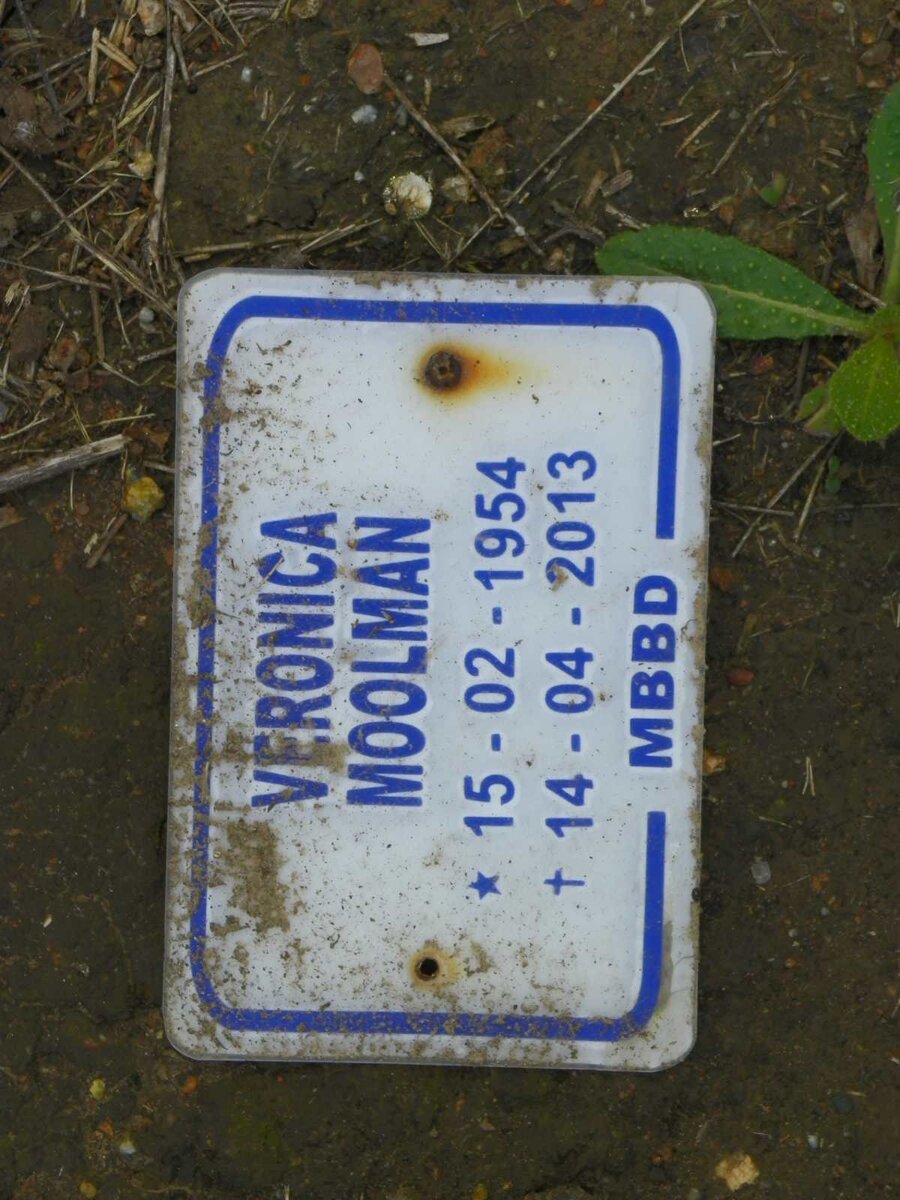 MOOLMAN Veronica 1954-2013