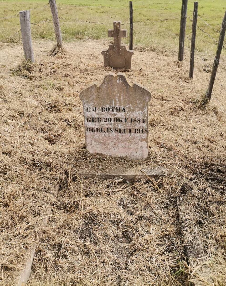 2. Overview / Oorsig