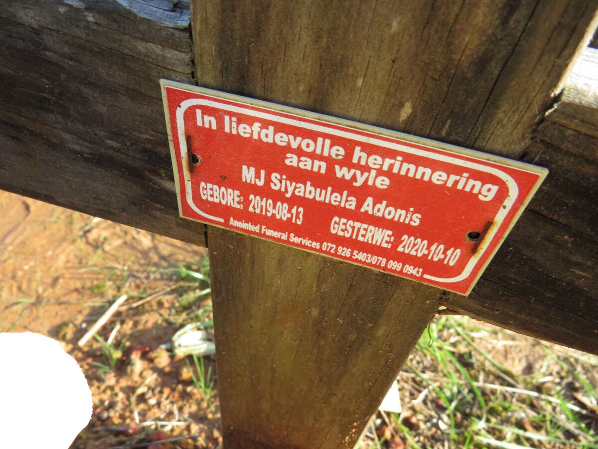 ADONIS M.J. Siyabulela 2019-2020