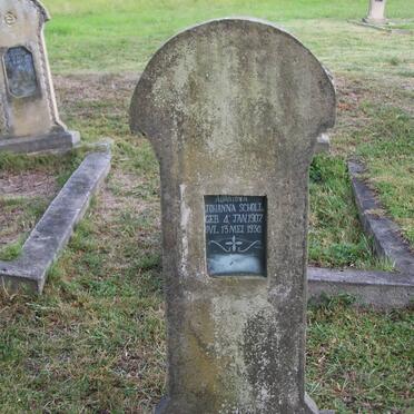 SCHOLTZ A? Johanna 1907-1930