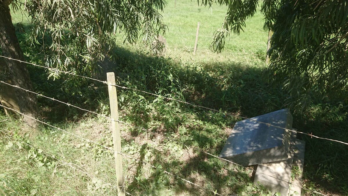 2. Oorsig / Overview