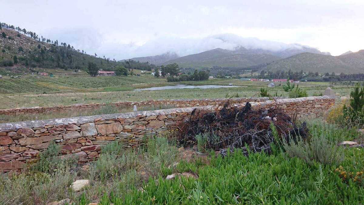 3. Overview / Oorsig