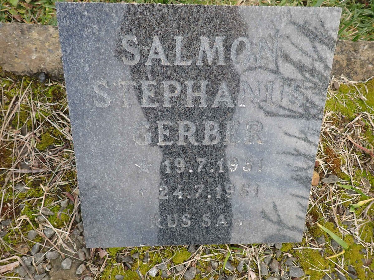 GERBER Salmon Stephanus 1951-1951