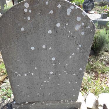 ZYL Johanna Dorethea, van nee DU PLESSIS 1875-1945