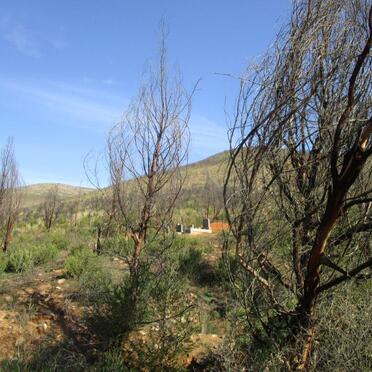 Western Cape, GEORGE district, Klein Langkloof, Boskloof, Kliprivier 122_1, farm cemetery