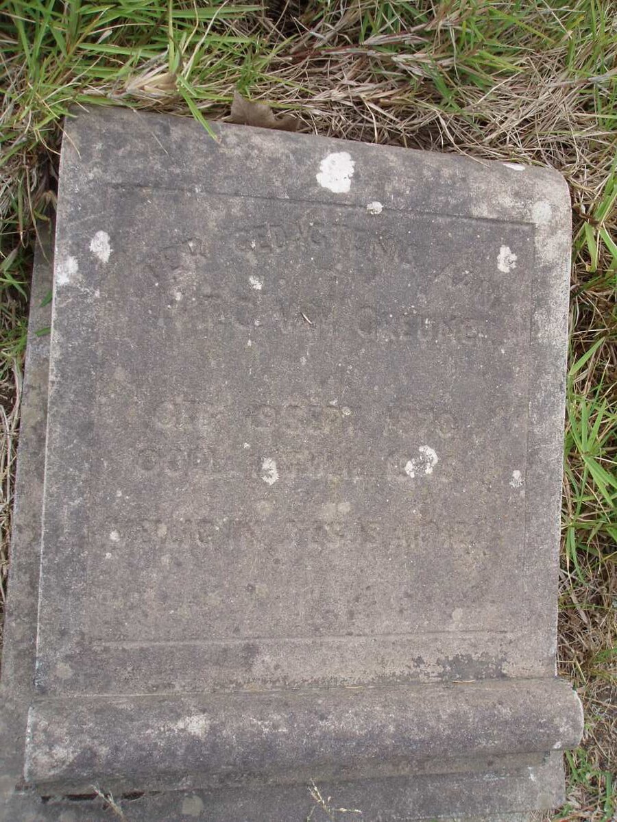 GREUNEN M.J.C., van 1870-1945