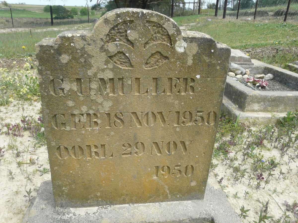 MULLER G.U. 1950-1950