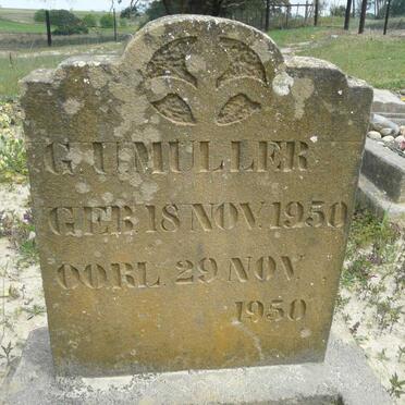 MULLER G.U. 1950-1950