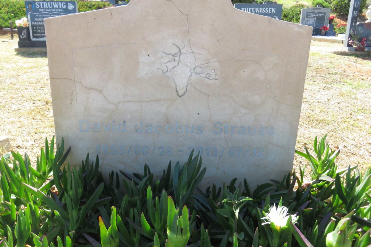 STRAUSS David Jacobus 1953-2013