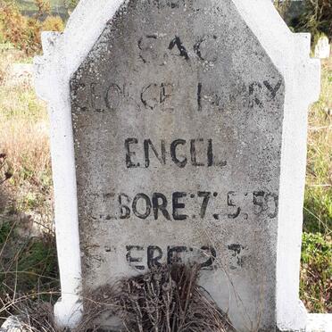 ENGEL George Henry 1950-